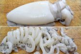Sei un mollusco.