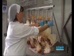 Piccola Spiumazione