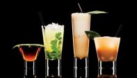 Cocktail dopo l'Opera
